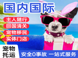 滋润航空货运国际宠物托运 【国